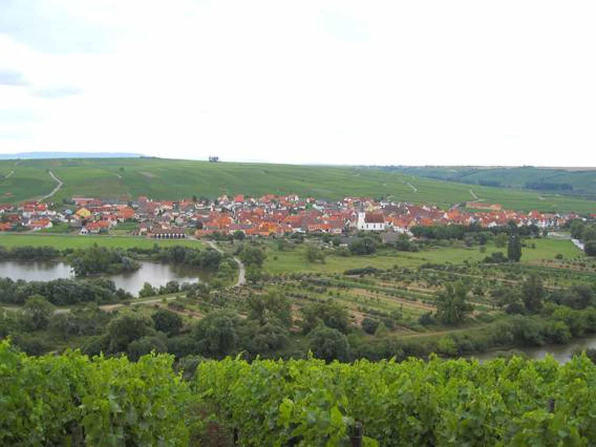 Ferien- Und Winzerhof Ute Braun Lejlighed Nordheim am Main Eksteriør billede